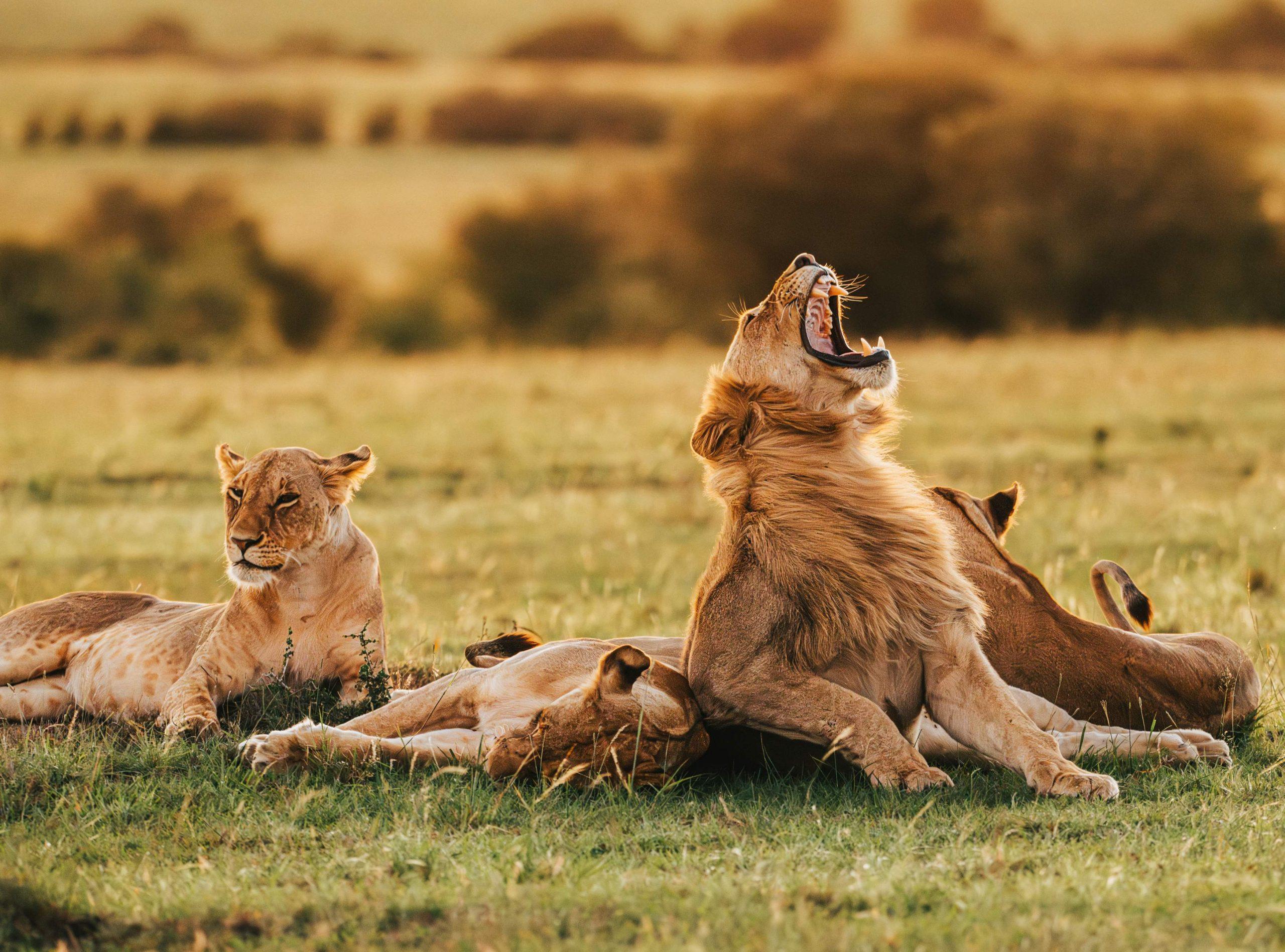 3-Day Manyara & Ngorongoro Group