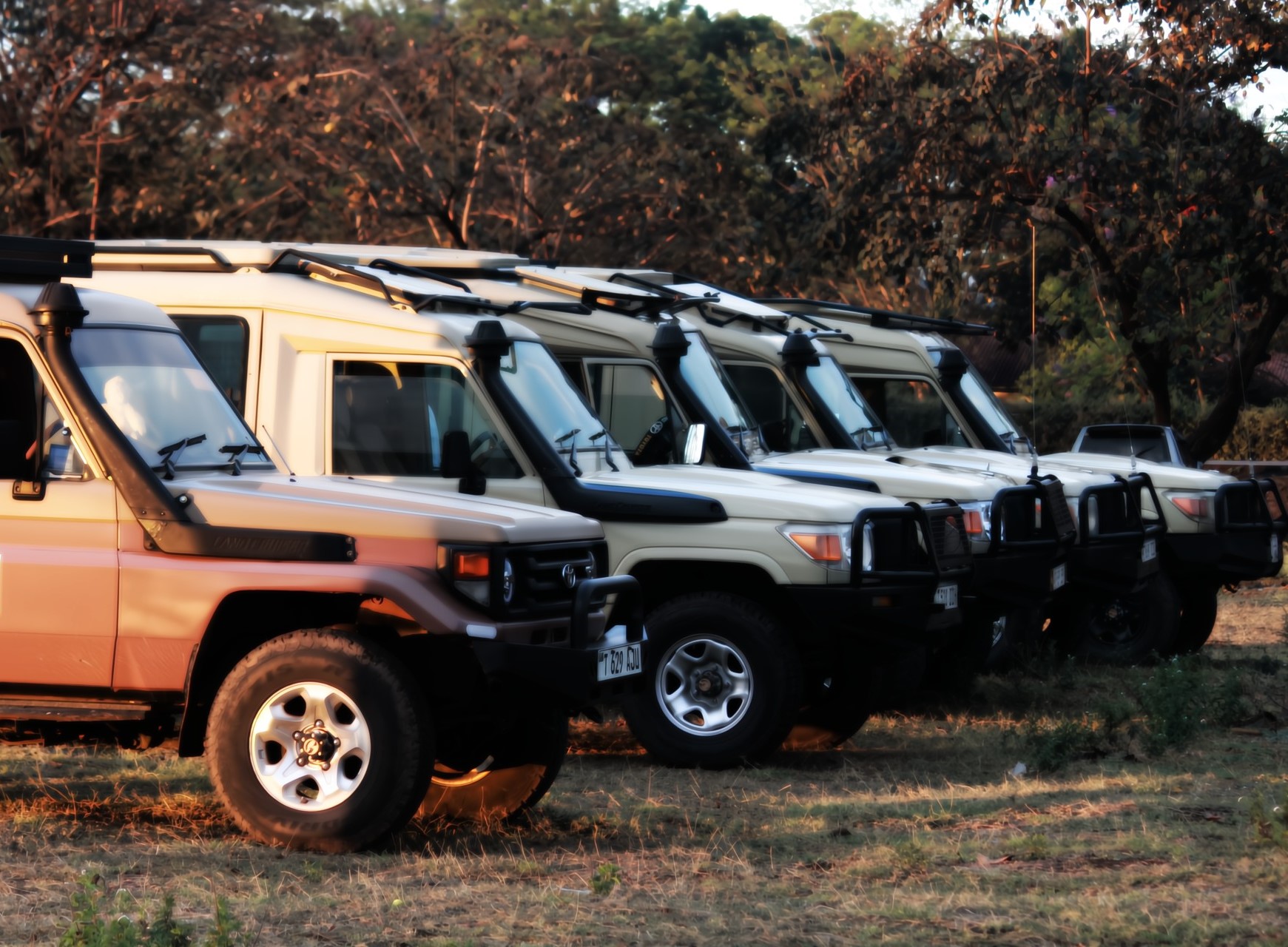 Private safari — Serengeti, Ngorongoro & Lake Manyara