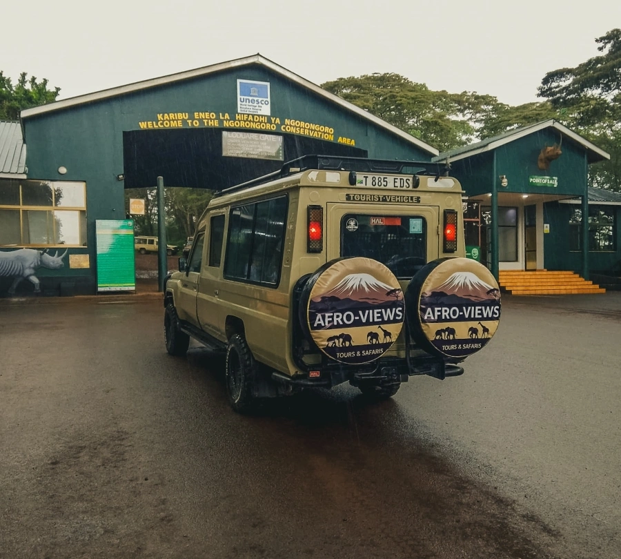 Afro-Views Tours & Safaris — operator-led safaris across Tanzania and Kenya