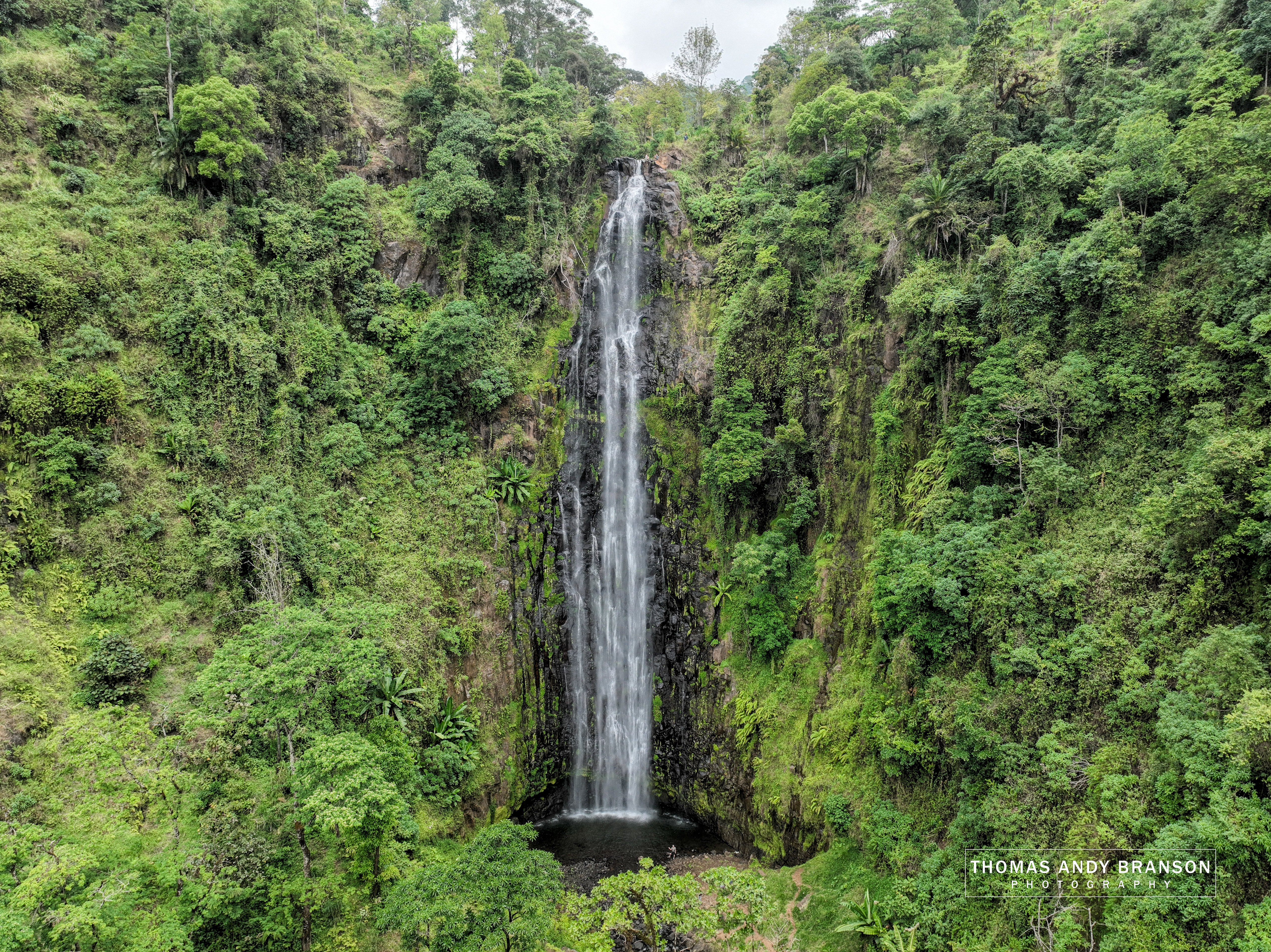 Chagga coffee & village on Kilimanjaro slopes