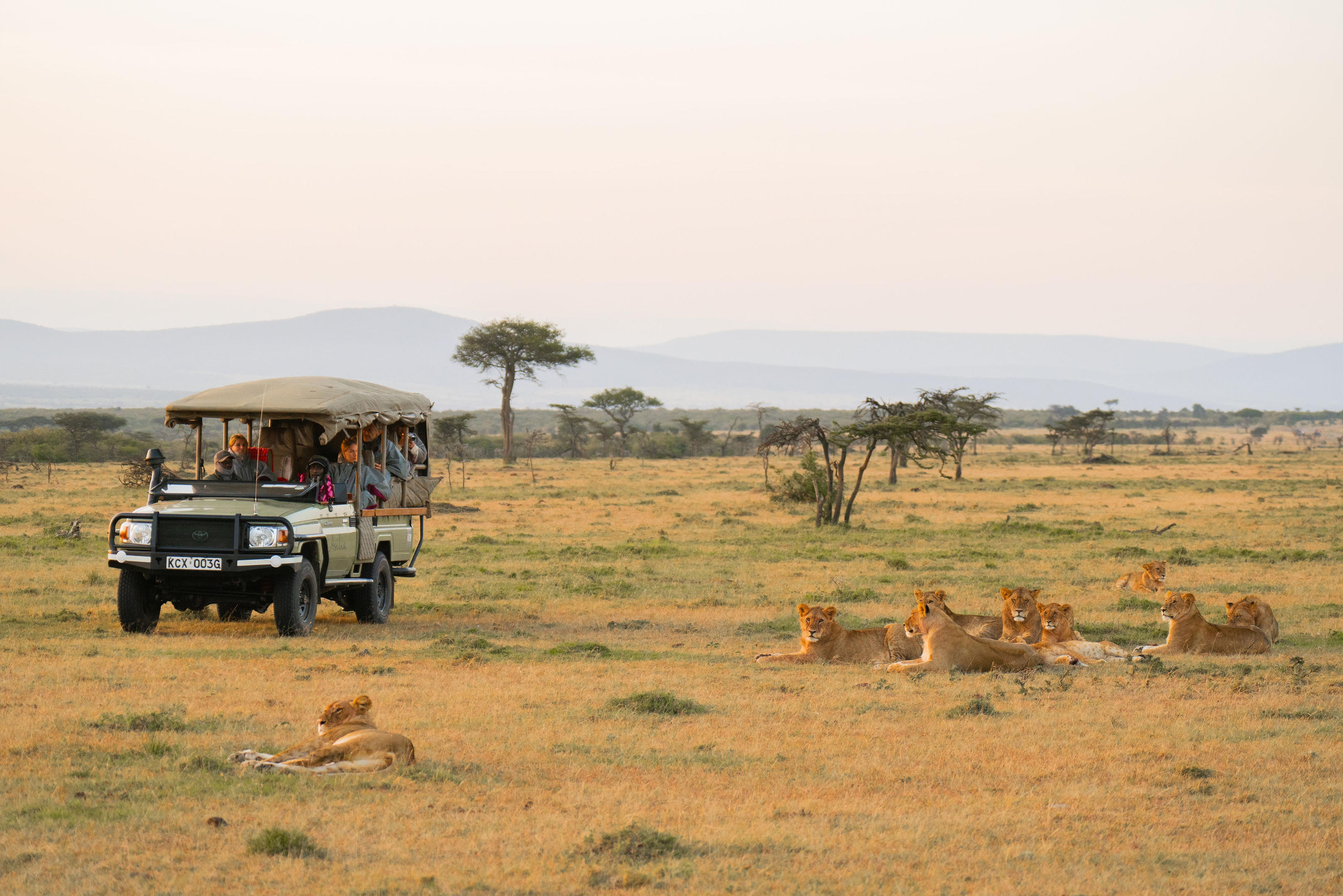 8-Day Best of Serengeti Photo Safari