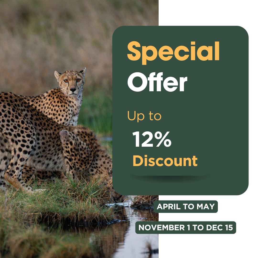 Afro-Views Tours & Safaris group joining safari offer and booking support