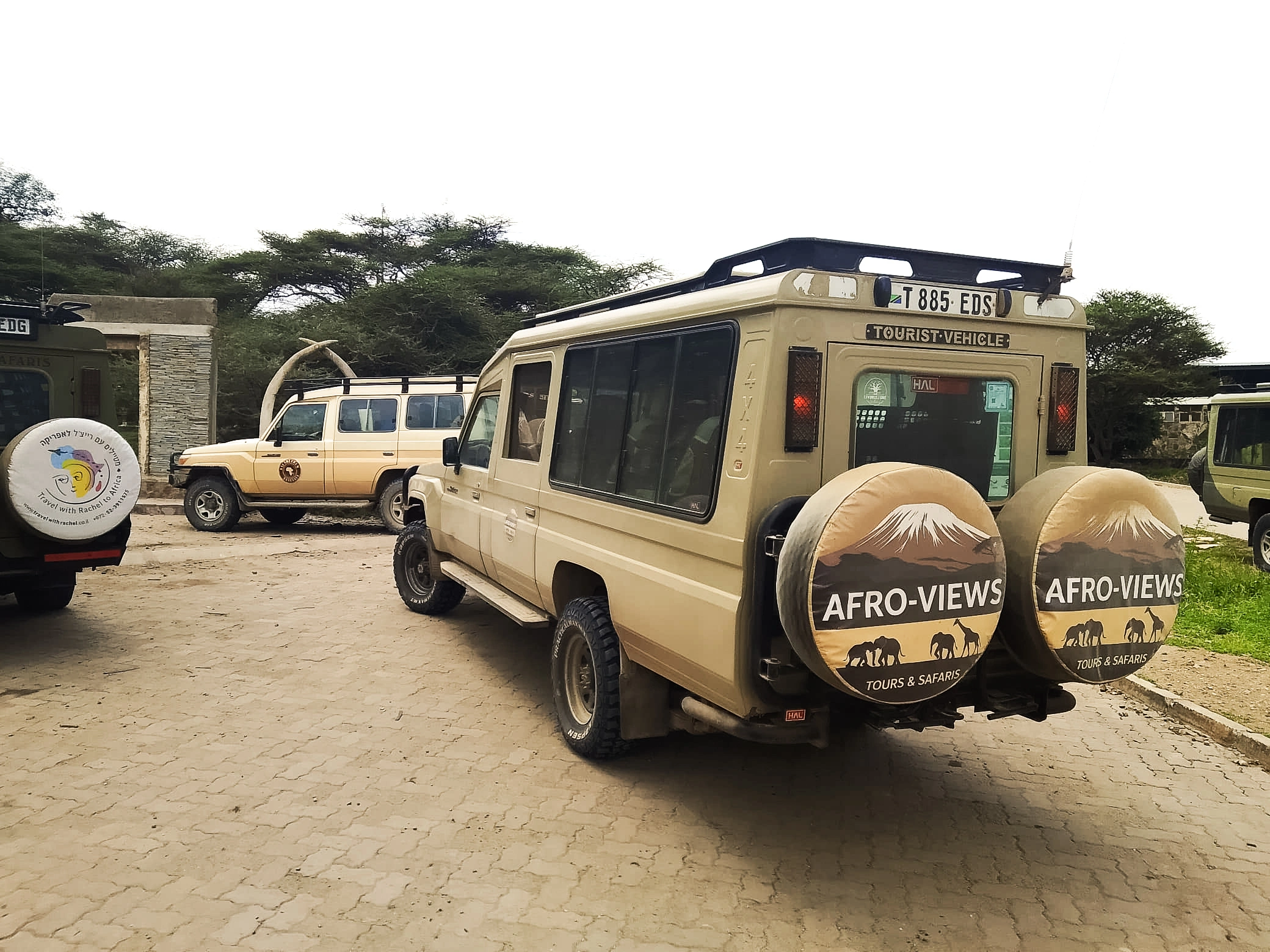 Tanzania safaris with Afro-Views — Serengeti, Ngorongoro Crater, and Tarangire