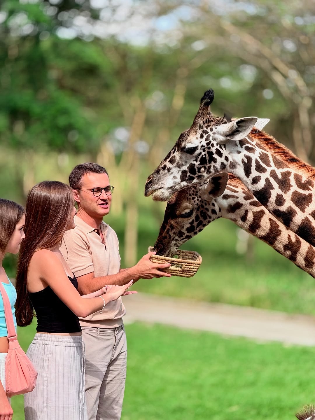 Tanzania classic safari — Serengeti and Ngorongoro with smooth routing