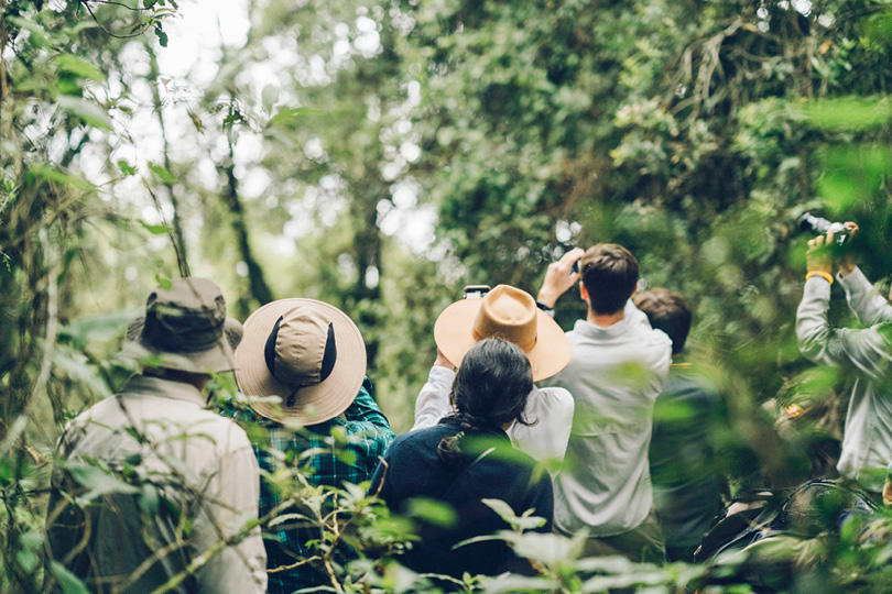 Bwindi Impenetrable Forest — mountain gorilla trekking Uganda